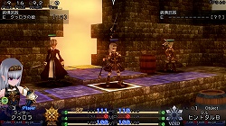 ꡼ No.013Υͥ / ǥξRoom210֥ʥ֥쥤 ȥ 󥹥εΡ