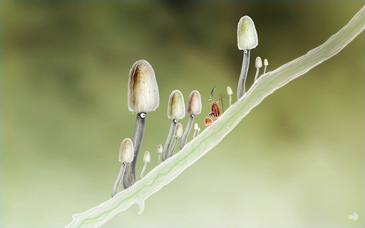 ꡼ No.004 | ǥξRoom227Botanicula