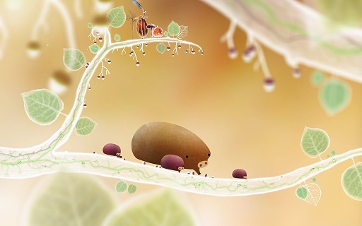 ꡼ No.007 | ǥξRoom227Botanicula