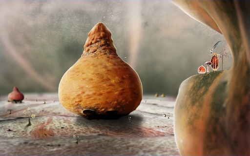 ꡼ No.012 | ǥξRoom227Botanicula