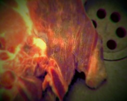 ꡼ No.011Υͥ / ǥξRoom418CALENDULA