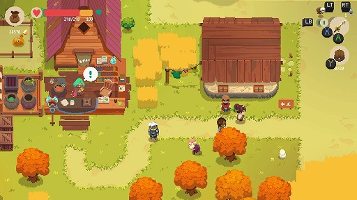 ꡼ No.013 | ǥξRoom539Moonlighter