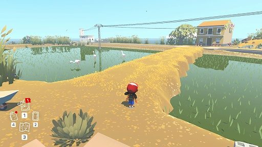 ꡼ No.006 | ǥξRoom665Alba: A Wildlife Adventure