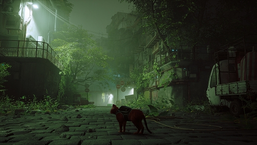 ꡼ No.007 | ǥξRoom743Stray