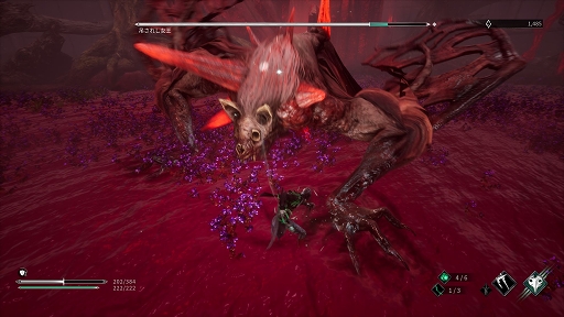 ꡼ No.007 | ǥξRoom749Thymesia