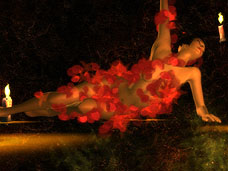 ���������꡼ No.016�Υ���ͥ������ / 4Gamer��1���֤򿶤��֤��Weekly 4Gamer��2010ǯ2��6����2��12��ʬ