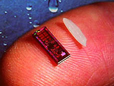 ���������꡼ No.018�Υ���ͥ������ / 4Gamer��1���֤򿶤��֤��Weekly 4Gamer��2010ǯ3��13����3��19��ʬ