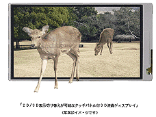 ���������꡼ No.011�Υ���ͥ������ / 4Gamer��1���֤򿶤��֤��Weekly 4Gamer��2010ǯ4��3����4��9��ʬ