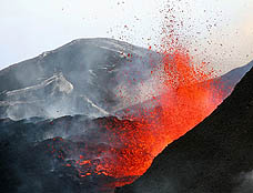 ���������꡼ No.017�Υ���ͥ������ / 4Gamer��1���֤򿶤��֤��Weekly 4Gamer��2010ǯ4��10����4��16��ʬ