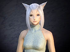 ���������꡼ No.007�Υ���ͥ������ / 4Gamer��1���֤򿶤��֤��Weekly 4Gamer��2010ǯ7��3����7��9��ʬ