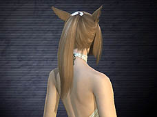 ���������꡼ No.002�Υ���ͥ������ / 4Gamer��1���֤򿶤��֤��Weekly 4Gamer��2010ǯ7��10����7��16��ʬ