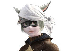 ���������꡼ No.010�Υ���ͥ������ / 4Gamer��1���֤򿶤��֤��Weekly 4Gamer��2010ǯ8��7����8��13��ʬ