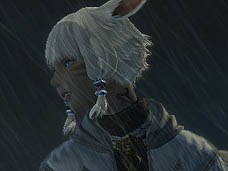 ���������꡼ No.009�Υ���ͥ������ / 4Gamer��1���֤򿶤��֤��Weekly 4Gamer��2010ǯ8��14����8��20��ʬ