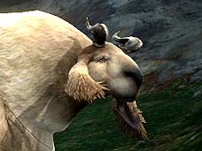 ���������꡼ No.003�Υ���ͥ������ / 4Gamer��1���֤򿶤��֤��Weekly 4Gamer��2010ǯ8��28����9��3��ʬ