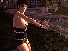 ���������꡼ No.004�Υ���ͥ������ / 4Gamer��1���֤򿶤��֤��Weekly 4Gamer��2010ǯ11��6����11��12��ʬ