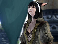 ���������꡼ No.010�Υ���ͥ������ / 4Gamer��1���֤򿶤��֤��Weekly 4Gamer��2010ǯ11��20����11��26��ʬ