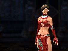 ���������꡼ No.016�Υ���ͥ������ / 4Gamer��1���֤򿶤��֤��Weekly 4Gamer��2010ǯ11��20����11��26��ʬ