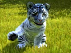 ���������꡼ No.012�Υ���ͥ������ / 4Gamer��1���֤򿶤��֤��Weekly 4Gamer��2010ǯ11��27����12��3��ʬ