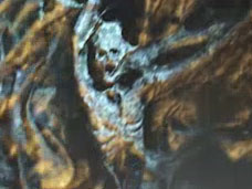 ���������꡼ No.003�Υ���ͥ������ / 4Gamer��1���֤򿶤��֤��Weekly 4Gamer��2010ǯ12��11����12��17��ʬ