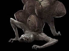 ���������꡼ No.007�Υ���ͥ������ / 4Gamer��1���֤򿶤��֤��Weekly 4Gamer��2011ǯ2��5����2��11��ʬ 