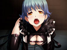 ���������꡼ No.002�Υ���ͥ������ / 4Gamer��1���֤򿶤��֤��Weekly 4Gamer��2011ǯ6��18����6��24��ʬ 