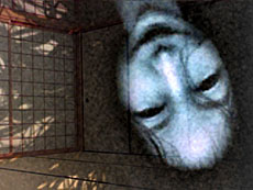 ���������꡼ No.016�Υ���ͥ������ / 4Gamer��1���֤򿶤��֤��Weekly 4Gamer��2011ǯ12��10����12��16��ʬ