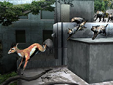 ���������꡼ No.006�Υ���ͥ������ / 4Gamer��1���֤򿶤��֤��Weekly 4Gamer��2012ǯ2��18����2��24��ʬ