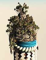 ꡼ No.029Υͥ / 4Gamer1֤򿶤֤Weekly 4Gamer2012ǯ428511ʬ