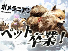 ���������꡼ No.002�Υ���ͥ������ / 4Gamer��1���֤򿶤��֤��Weekly 4Gamer��2012ǯ6��9����6��15��ʬ