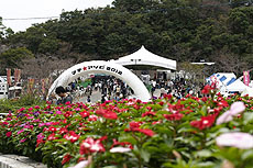 ���������꡼ No.013�Υ���ͥ������ / 4Gamer��1���֤򿶤��֤��Weekly 4Gamer��2012ǯ10��6����10��12��