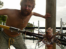 ꡼ No.012Υͥ / 4Gamer1֤򿶤֤Weekly 4Gamer2013ǯ33045