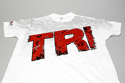 ���������꡼ No.019�Υ���ͥ������ / 4Gamer��1���֤򿶤��֤��Weekly 4Gamer��2013ǯ4��6����4��12��