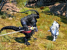 ���������꡼ No.008�Υ���ͥ������ / 4Gamer��1���֤򿶤��֤��Weekly 4Gamer��2013ǯ5��25����5��31��