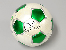 ���������꡼ No.021�Υ���ͥ������ / 4Gamer��1���֤򿶤��֤��Weekly 4Gamer��2013ǯ5��25����5��31��