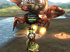 ���������꡼ No.010�Υ���ͥ������ / 4Gamer��1���֤򿶤��֤��Weekly 4Gamer��2013ǯ6��1����6��7��