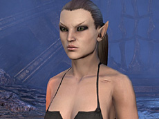 画像ギャラリー No.024のサムネイル画像 / 4Gamerの1週間を振り返る「Weekly 4Gamer」2014年2月8日〜2月14日