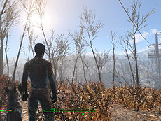 ���������꡼ No.013�Υ���ͥ������ / 4Gamer��1���֤򿶤��֤��Weekly 4Gamer��2015ǯ11��28����12��4��