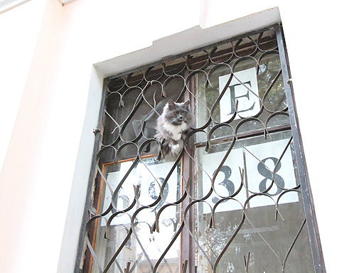 画像ギャラリー No.015のサムネイル画像 / 4Gamerの1週間を振り返る「Weekly 4Gamer」2016年7月30日〜8月5日