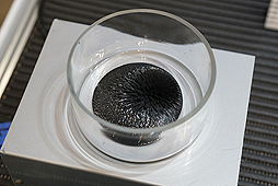 ���������꡼ No.009�Υ���ͥ������ / 4Gamer��1���֤򿶤��֤��Weekly 4Gamer��2016ǯ10��1����10��7��