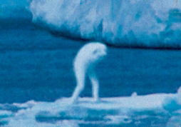 画像ギャラリー No.011のサムネイル画像 / 4Gamerの1週間を振り返る「Weekly 4Gamer」2017年1月28日〜2月3日