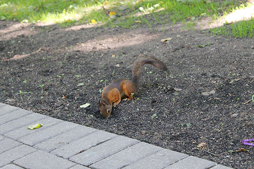 ���������꡼ No.015�Υ���ͥ������ / 4Gamer��1���֤򿶤��֤��Weekly 4Gamer��2017ǯ7��8����7��14��