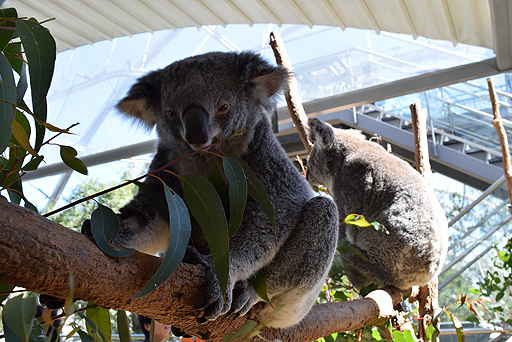 画像ギャラリー No.016のサムネイル画像 / 4Gamerの1週間を振り返る「Weekly 4Gamer」2017年9月9日〜9月15日