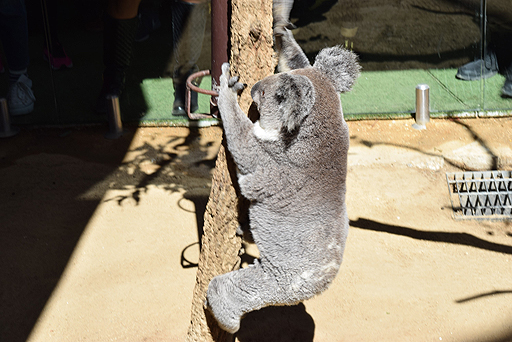 画像ギャラリー No.017のサムネイル画像 / 4Gamerの1週間を振り返る「Weekly 4Gamer」2017年9月9日〜9月15日