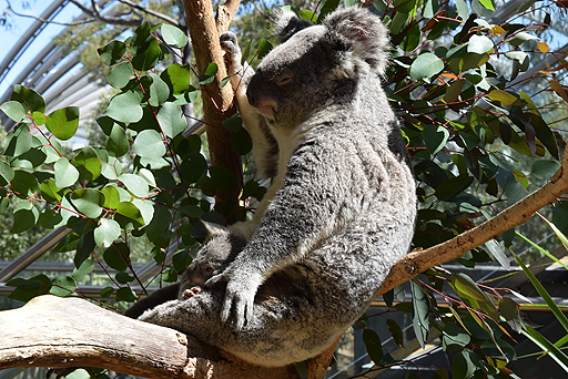 画像ギャラリー No.018のサムネイル画像 / 4Gamerの1週間を振り返る「Weekly 4Gamer」2017年9月9日〜9月15日