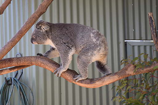 画像ギャラリー No.019のサムネイル画像 / 4Gamerの1週間を振り返る「Weekly 4Gamer」2017年9月9日〜9月15日