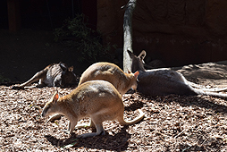 画像ギャラリー No.022のサムネイル画像 / 4Gamerの1週間を振り返る「Weekly 4Gamer」2017年9月9日〜9月15日