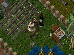 ꡼ No.010Υͥ / 4Gamer1֤򿶤֤Weekly 4Gamer2017ǯ930106