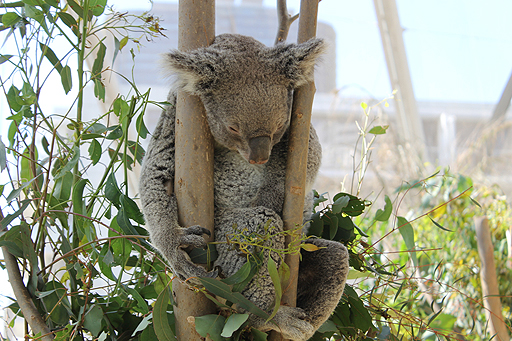 画像ギャラリー No.019のサムネイル画像 / 4Gamerの1週間を振り返る「Weekly 4Gamer」2017年10月21日〜10月27日