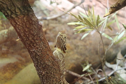 画像ギャラリー No.020のサムネイル画像 / 4Gamerの1週間を振り返る「Weekly 4Gamer」2017年10月21日〜10月27日