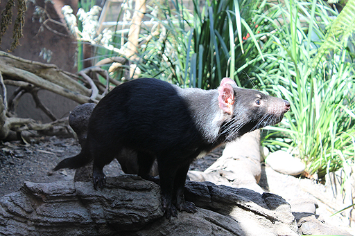 画像ギャラリー No.022のサムネイル画像 / 4Gamerの1週間を振り返る「Weekly 4Gamer」2017年10月21日〜10月27日